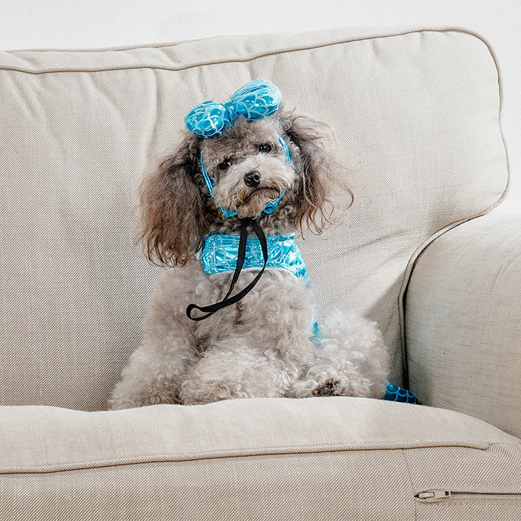 Dog wearing a blue outfit with decorative elements on a beige couch