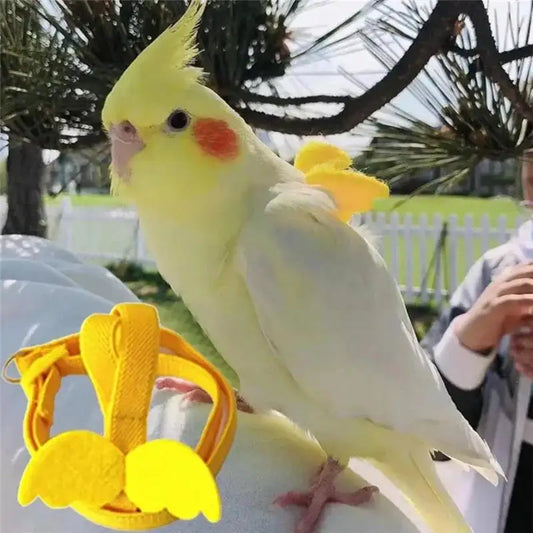 Yellow parrot perched on a yellow banana-shaped toy with a blurred outdoor background