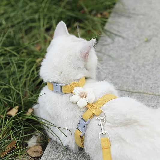 White cat wearing a yellow harness with a floral design outdoors.