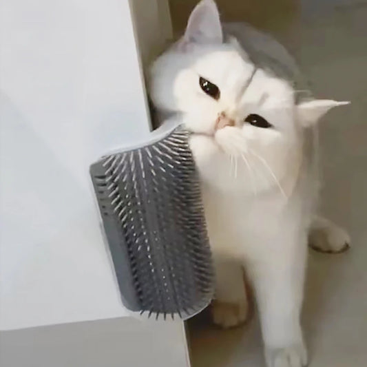 White cat interacting with a gray pet grooming brush on a light-colored floor.