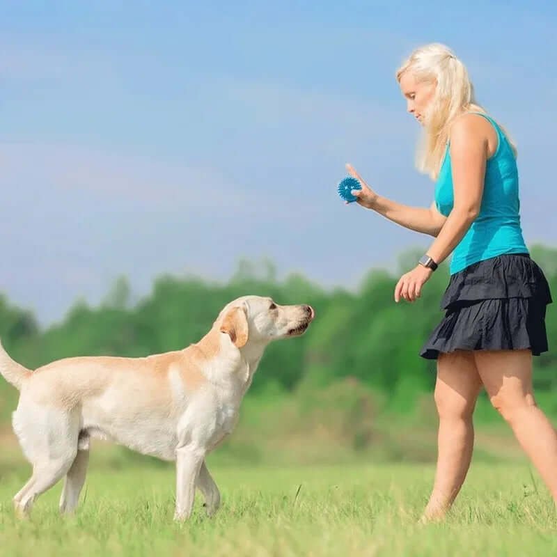 Woman in a blue top and black skirt playing with a dog in a grassy field.