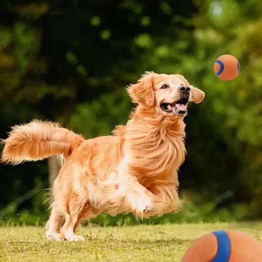 Dog playing with a ball in a grassy area