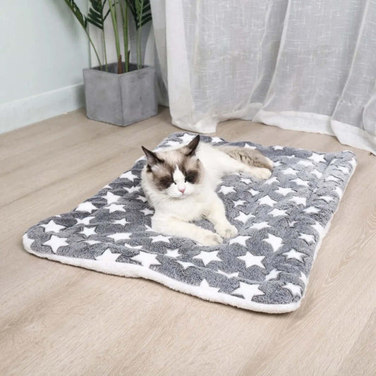 Cat lying on a star-patterned mat in a room with curtains and a plant.