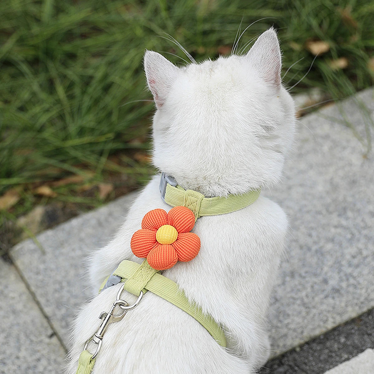 White cat wearing a green harness with a colorful flower-shaped tag outdoors.