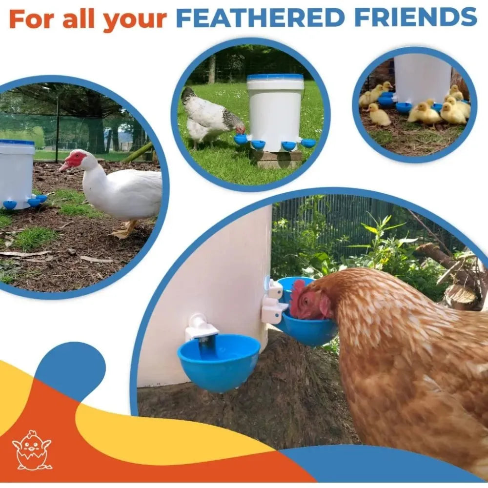 Feeder for birds with text 'For all your feathered friends' and images of various birds using it.