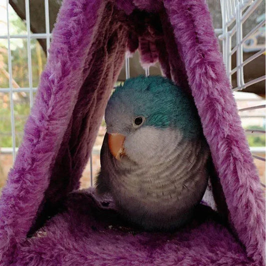 Parrot with a multicolored head sitting inside a purple fleece blanket