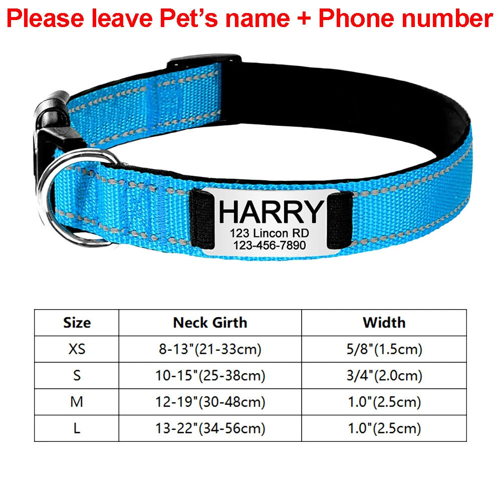 Blue dog collar with name tag and size chart on a white background