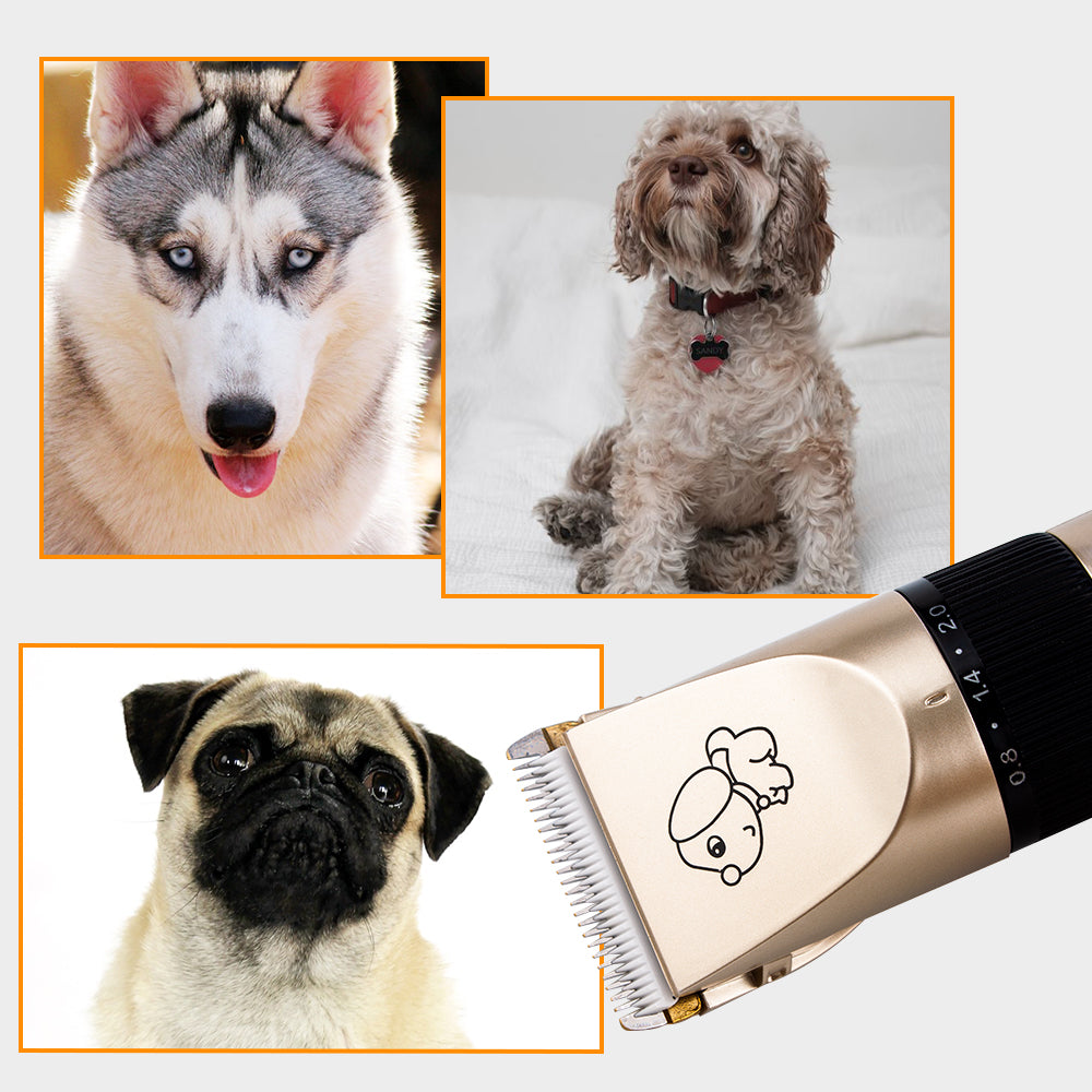 Rechargeable Pet Hair Trimmer - USB Charging Electric Dog Grooming Clippers & Scissors