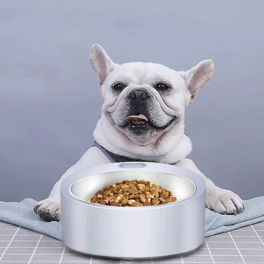 Dog Food Bowl Large Capacity Pet Feeder Detachable Stainless Steel Weighing Bowl Pet Scale