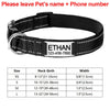 Black dog collar with nameplate and size chart on a white background