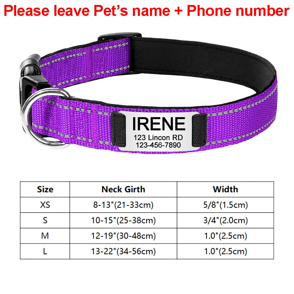 Purple dog collar with engraved name and address on a white background