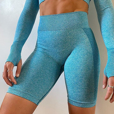 Ensemble de Yoga à manches longues pour femmes, haut de sport sans couture, short