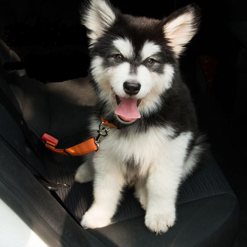 Ceinture de sécurité réglable pour chien, harnais de sécurité pour voiture, laisse élastique réfléchissante, corde de sécurité