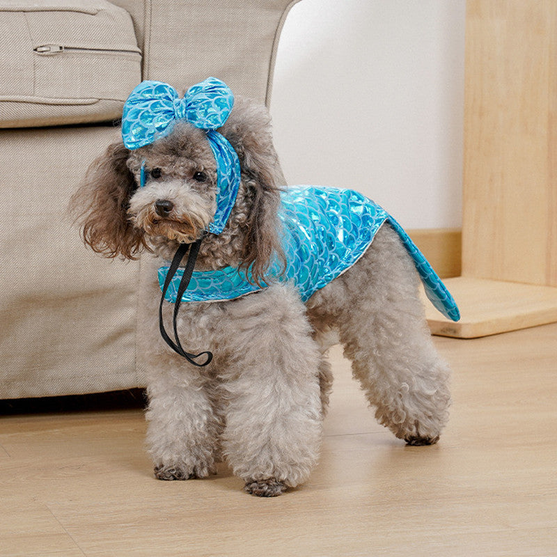 Dog wearing a blue outfit with a bow on a wooden floor.