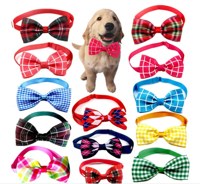 Dog wearing a red plaid bow tie with various colorful bow ties displayed around it on a white background.