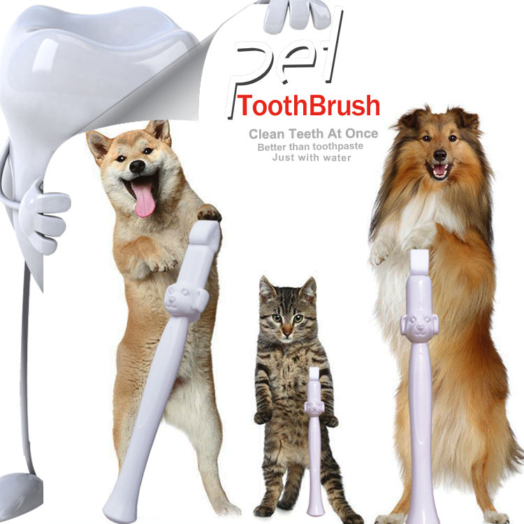 Pet Cleaning Teeth Cleaning Wipe Portable Tooth Cleaning Tool