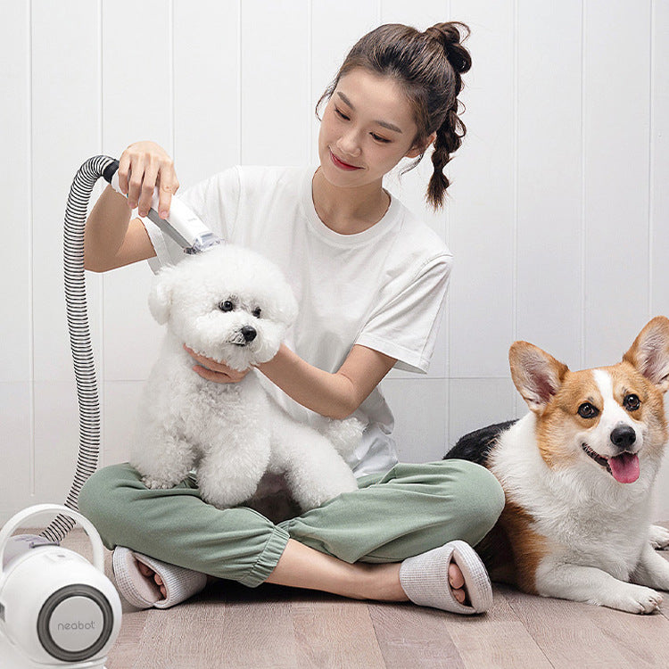 Outil de toilettage pour animaux de compagnie pour le rasage et le toilettage