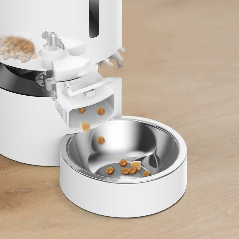 Capsule d'alimentation automatique pour chat, double bol