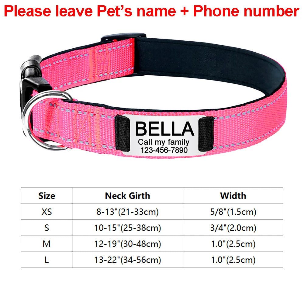 Pink dog collar with black interior and name tag 'Bella' on a white background