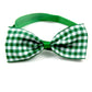 Green and white checkered bow tie on a white background