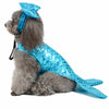Dog wearing a blue mermaid costume with a tail and headpiece on a white background