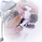 Pet Oral Care Supplies - Pet Cleaning Teeth Cleaning Wipe Portable Tooth Cleaning Tool