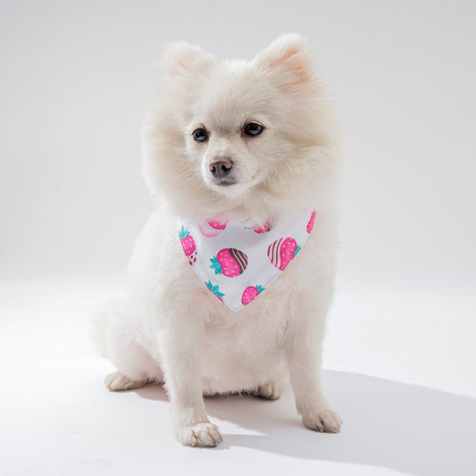Small white dog wearing a colorful bandana on a light gray background