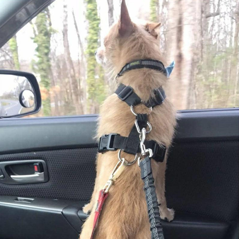 Ceinture de sécurité réglable pour chien, harnais de sécurité pour voiture, laisse élastique réfléchissante, corde de sécurité