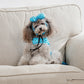 Dog wearing a blue outfit with decorative elements on a beige couch