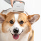 Pet Grooming - Tool For Shaving And Grooming Pet Hair Clippers & Trimmers