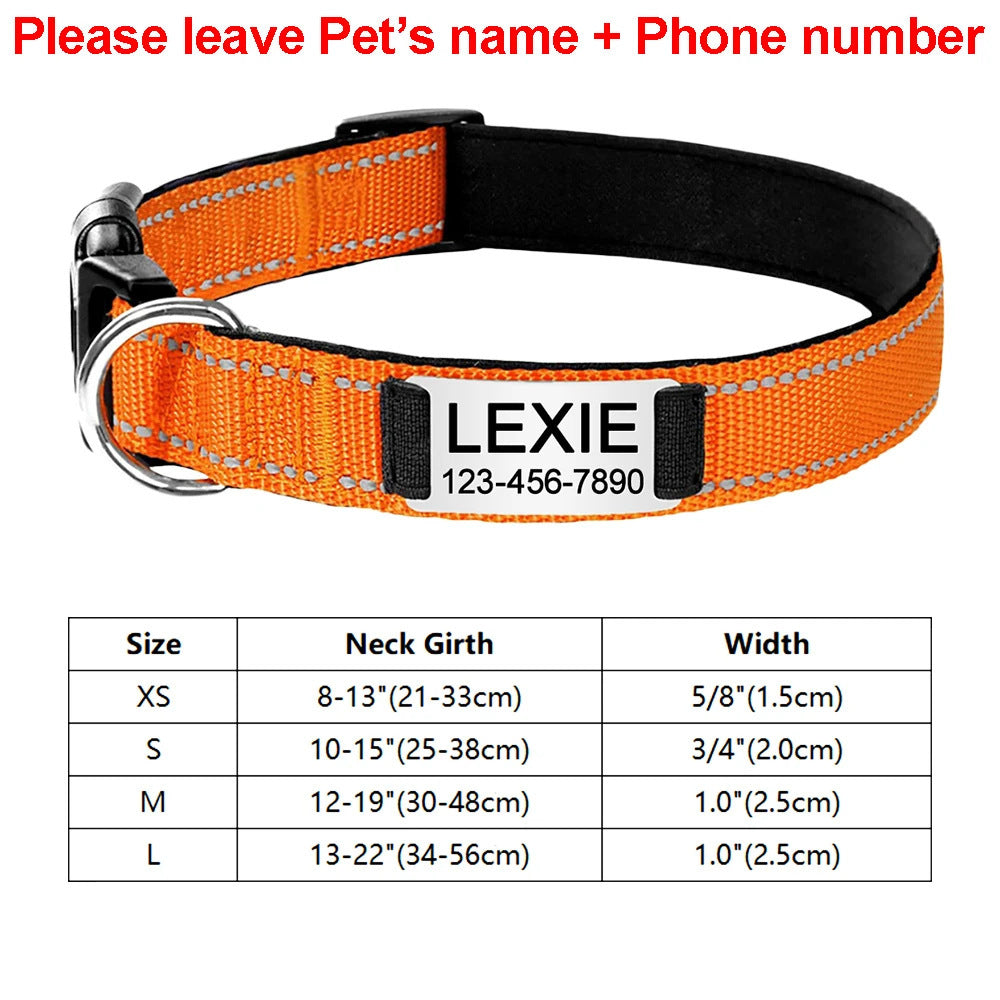 Orange dog collar with a nameplate labeled 'LEXIE' and size chart on a white background.