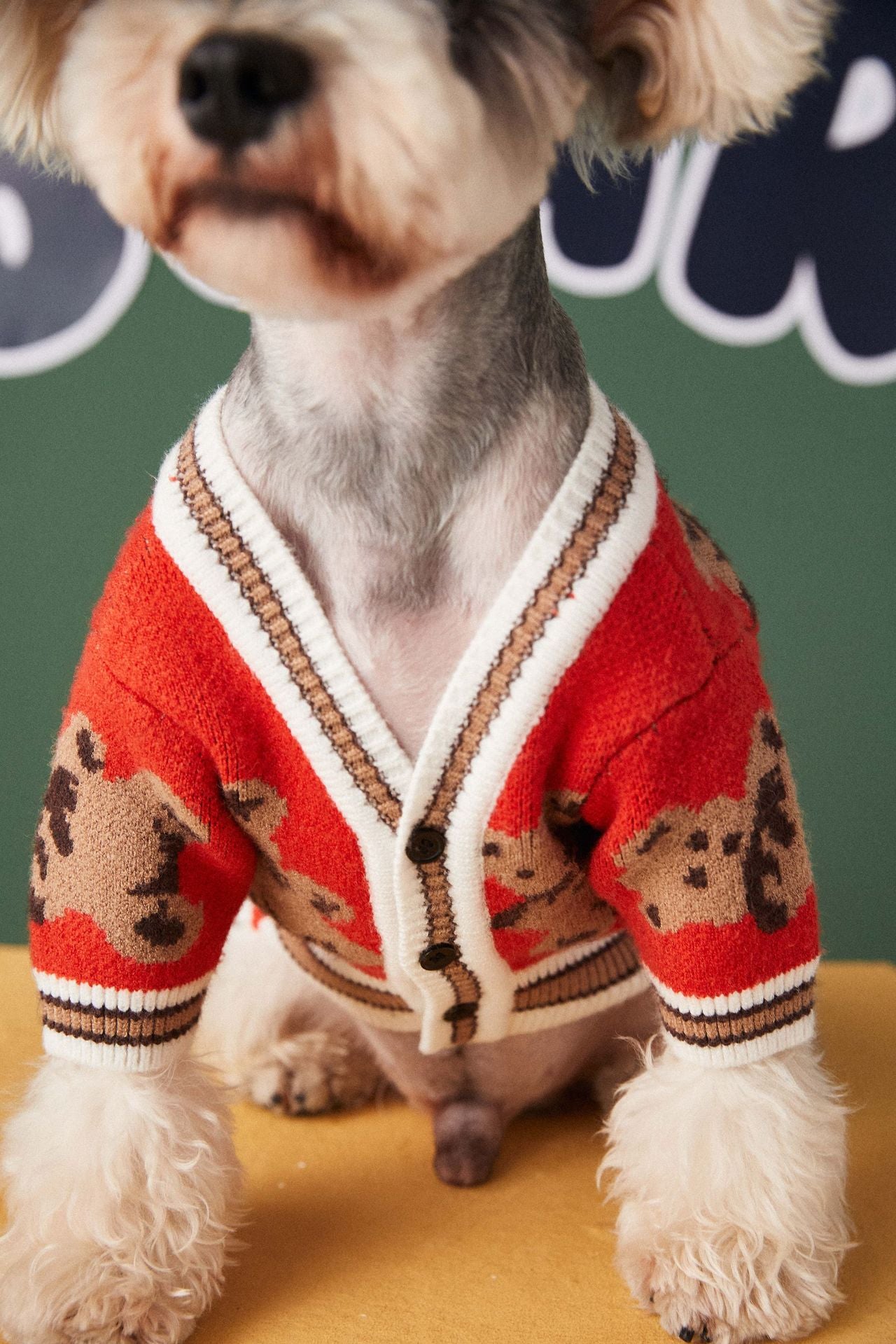 Chien chat pull Style Preppy col en v rayé gilet animal chiot hiver vêtements chauds vêtements pour chiens chats