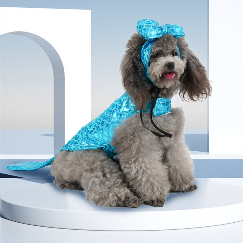 Dog wearing a blue outfit with a hood and headband on a white platform.