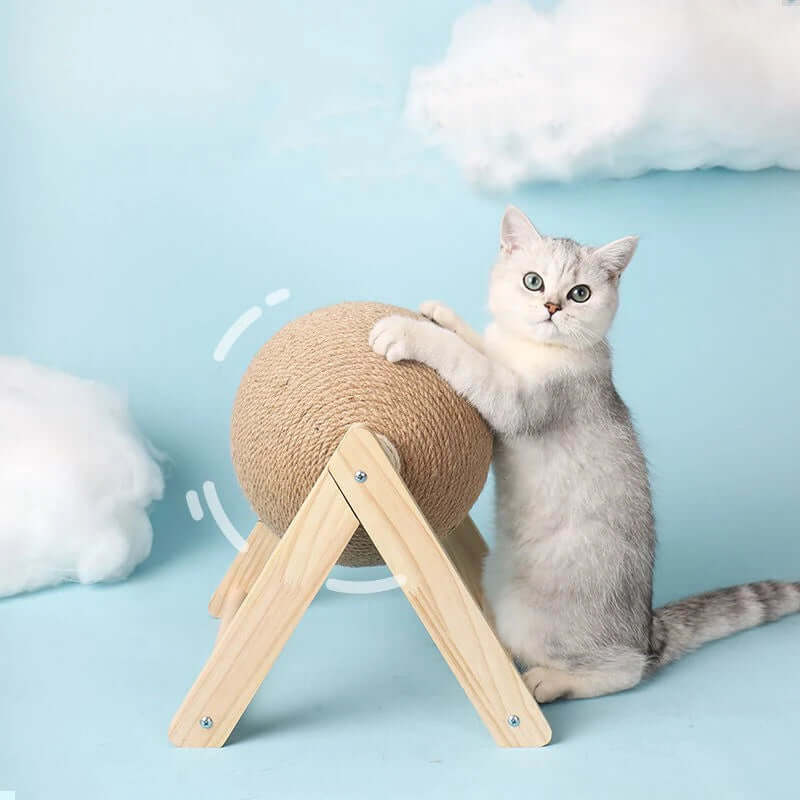 Cat playing with a wooden and sisal-wrapped post against a light blue background