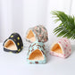 Four colorful pet houses on a white surface with a plant in the background