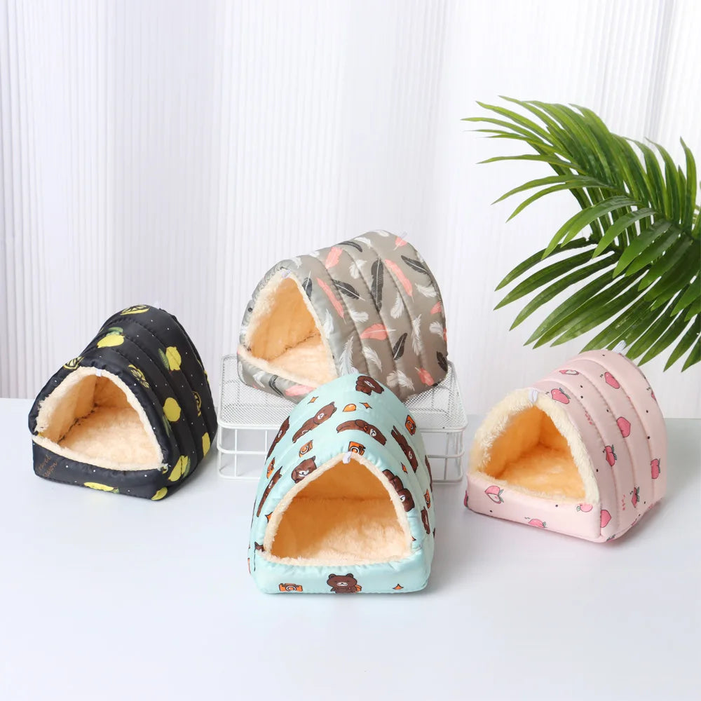 Four colorful pet houses on a white surface with a plant in the background