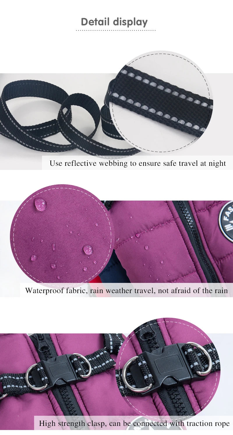Close-up details of a purple pet carrier with reflective webbing, waterproof fabric, and high-strength clasp.