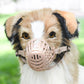 Dog wearing a pink muzzle with a blurred green background