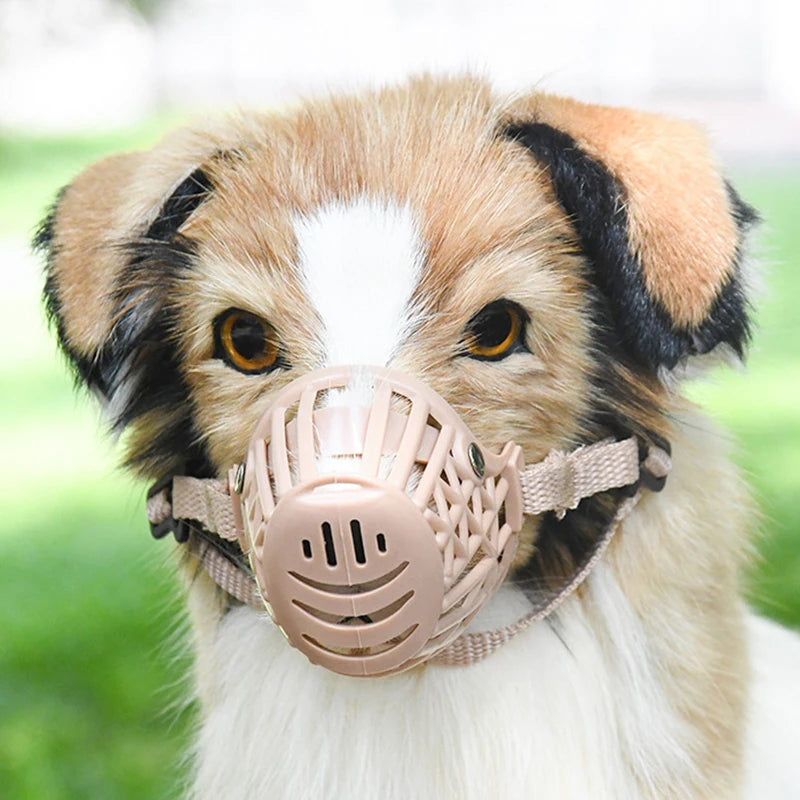 Dog wearing a pink muzzle with a blurred green background