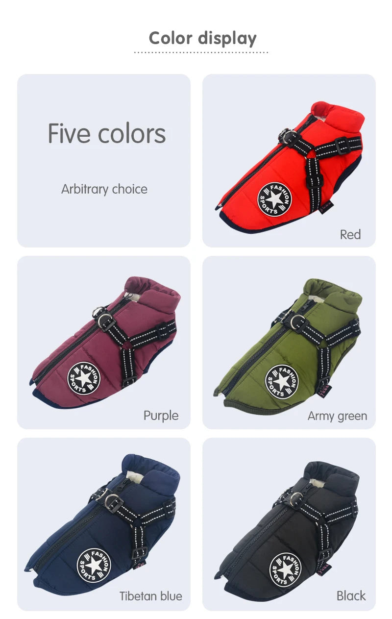 Dog harnesses in five colors displayed on a white background