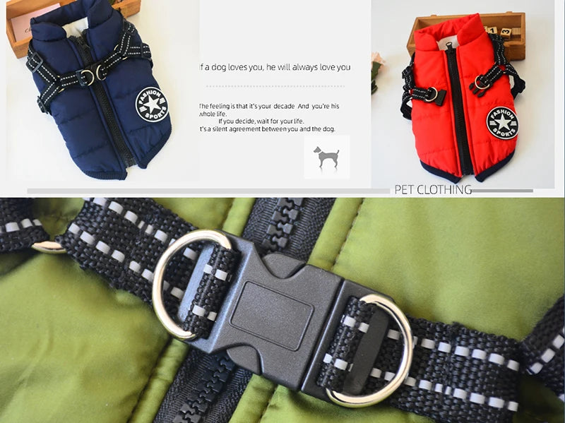 Dog life vests in blue and red with a dog collar on a green background.
