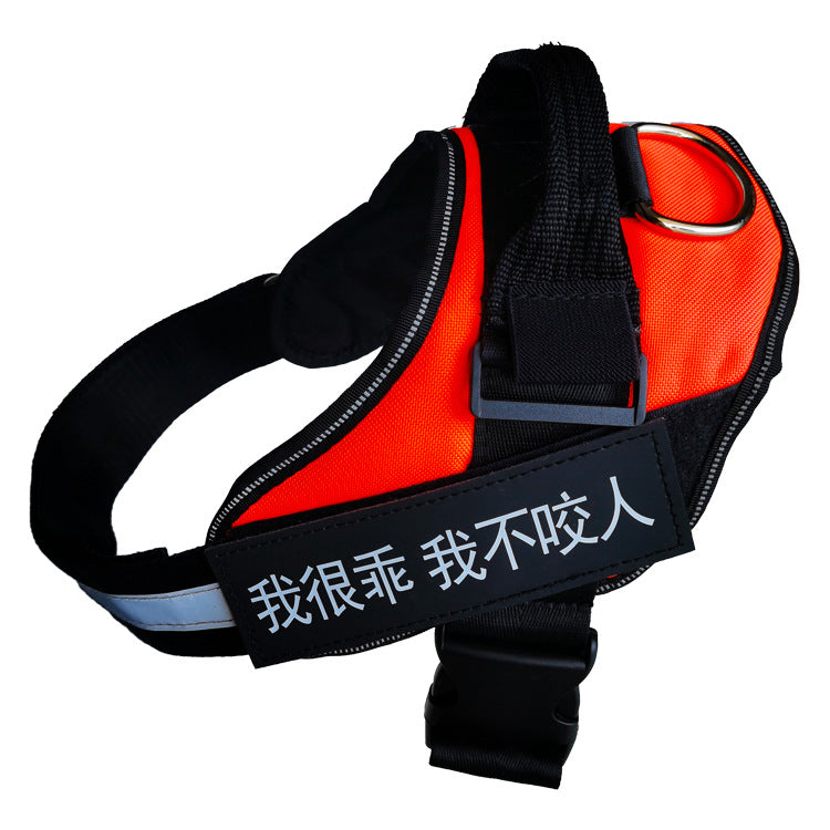 Red and black dog harness with reflective text on a white background