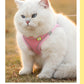White cat wearing a pink harness on a grassy field