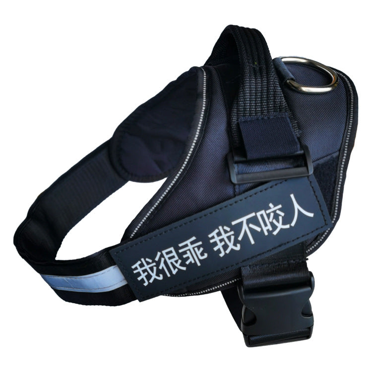 Navy blue dog harness with reflective text on a white background