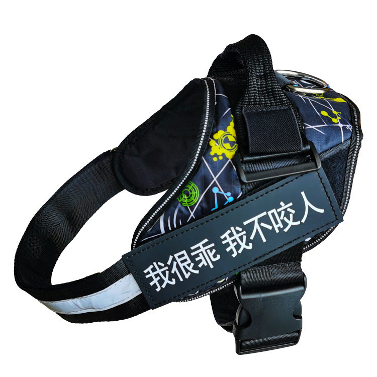 Dog harness with reflective text on a white background