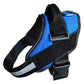 Blue and black dog harness on a white background