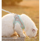 White cat wearing a harness on a leash with a blurred outdoor background