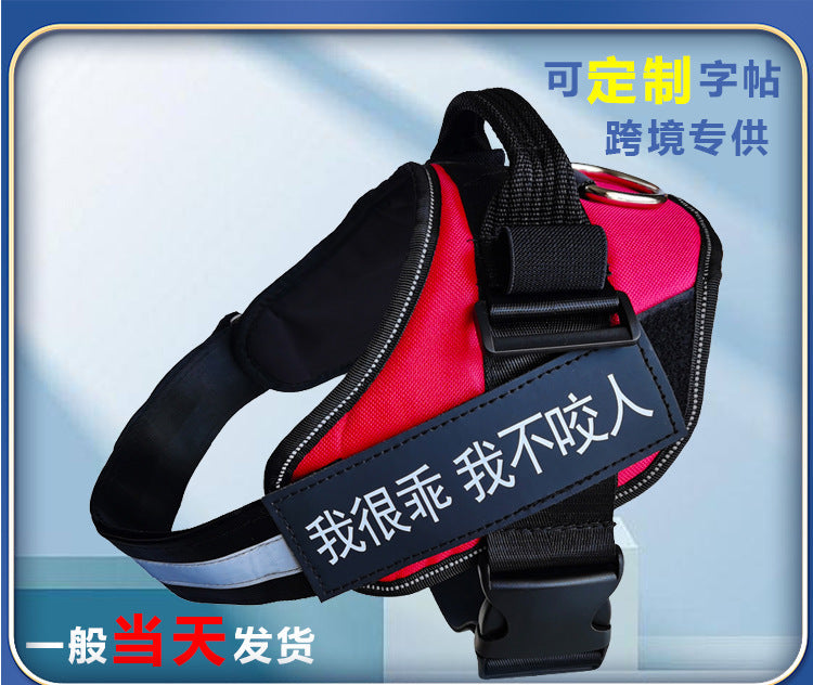Red and black dog harness with a message tag on a blue gradient background