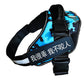 Blue camouflage dog harness with reflective text on a white background