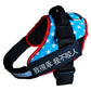 Dog harness with blue star pattern and black strap on a white background